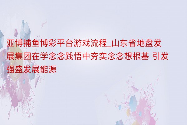 亚博捕鱼博彩平台游戏流程_山东省地盘发展集团在学念念践悟中夯实念念想根基 引发强盛发展能源