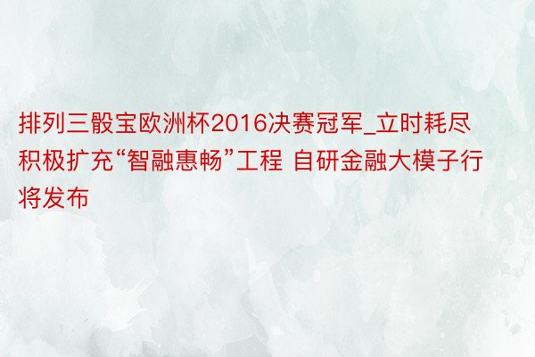 排列三骰宝欧洲杯2016决赛冠军_立时耗尽积极扩充“智融惠畅”工程 自研金融大模子行将发布