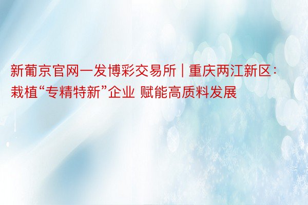 新葡京官网一发博彩交易所 | 重庆两江新区：栽植“专精特新”企业 赋能高质料发展