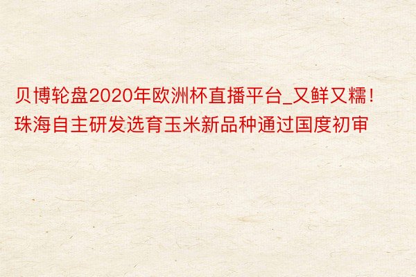 贝博轮盘2020年欧洲杯直播平台_又鲜又糯！珠海自主研发选育玉米新品种通过国度初审