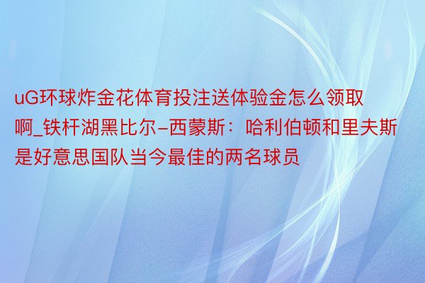 uG环球炸金花体育投注送体验金怎么领取啊_铁杆湖黑比尔-西蒙斯：哈利伯顿和里夫斯是好意思国队当今最佳的两名球员