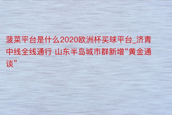 菠菜平台是什么2020欧洲杯买球平台_济青中线全线通行 山东半岛城市群新增“黄金通谈”