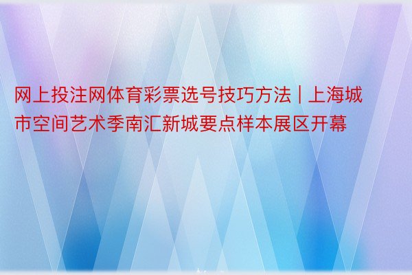 网上投注网体育彩票选号技巧方法 | 上海城市空间艺术季南汇新城要点样本展区开幕