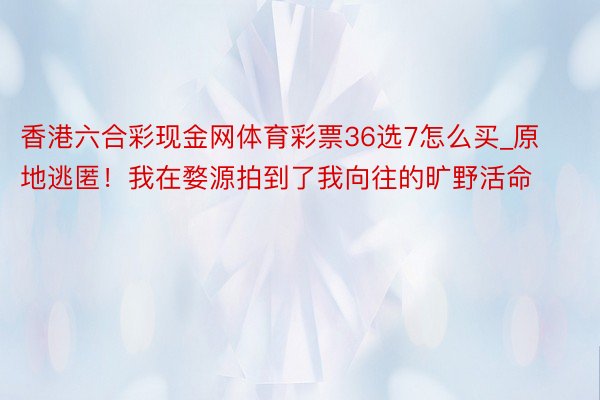 香港六合彩现金网体育彩票36选7怎么买_原地逃匿！我在婺源拍到了我向往的旷野活命