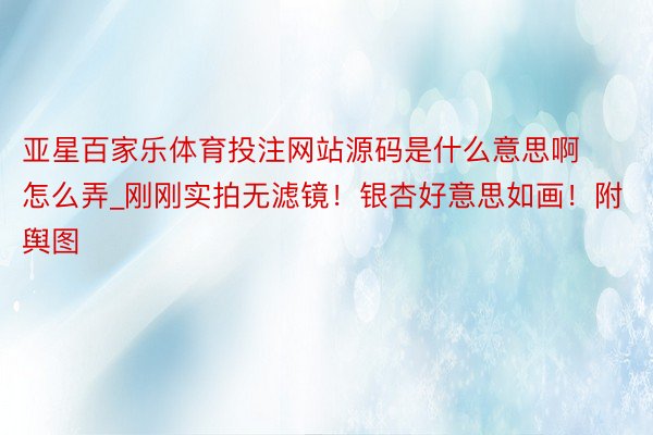 亚星百家乐体育投注网站源码是什么意思啊怎么弄_刚刚实拍无滤镜！银杏好意思如画！附舆图